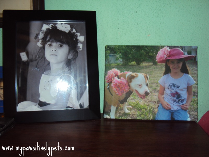 Www.easycanvasprints.com The latest Tweets from Easy Canvas Prints (@easycanvas). Turn your memory into a masterpiece with Easy Canvas Prints!. Austin, TX.